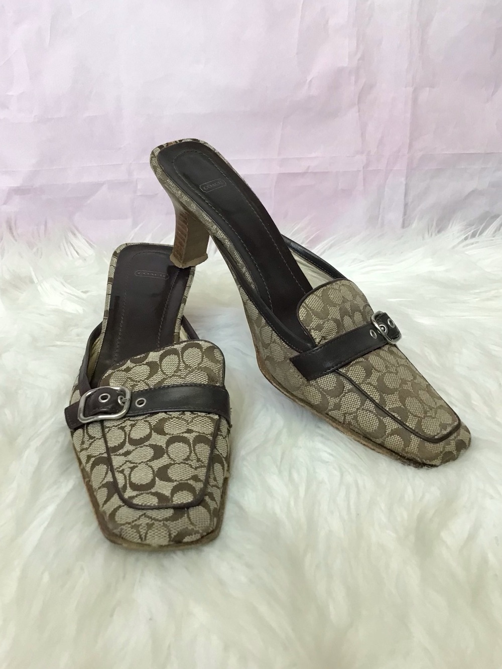 Coach 6.5